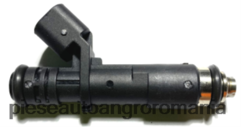 2N668F2065 Piese Auto Iasi | injector de combustibil 25185231 CHEVROLET