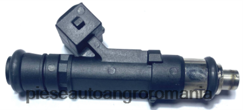 2N668F2077 Piese Auto Timisoara | injector de combustibil 24420543 5817425 0280158181 CHEVROLET