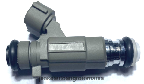 2N668F1876 Piese Auto Brasov | injector combustibil 16600-5l700