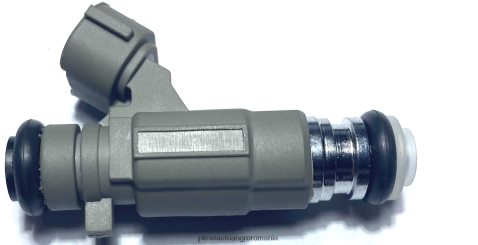 2N668F1888 Magazin De Piese Auto Angro | injector combustibil 166005l700