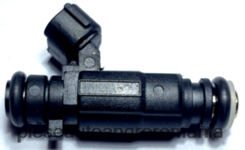 2N668F1923 Piese Auto Arges | injector de combustibil 3531022600