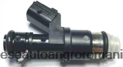 2N668F1962 Piese Auto Angro | injector de combustibil 16450r40a01