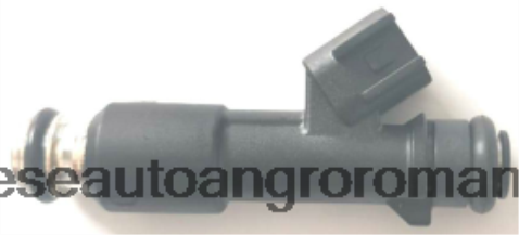 2N668F2000 Piese Auto Oradea | injector de combustibil 12616382