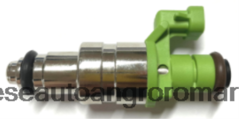 2N668F2029 Piese Auto Cluj | injector de combustibil 12591227