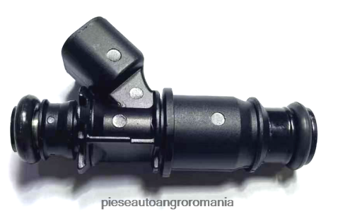 2N668F2042 Piese Auto Angro | injector de combustibil 12576414