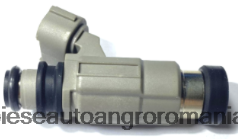 2N668F2070 Piese Auto Oradea | injector de combustibil cdh166 md319790