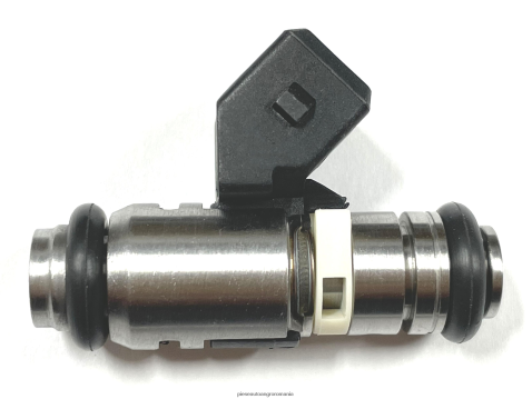 2N668F2262 Piese Auto Angro | injector de combustibil iwp095