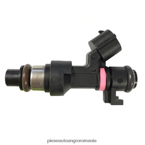 2N668F95 Piese Auto Iasi | 166006863r injector de combustibil RENAULT