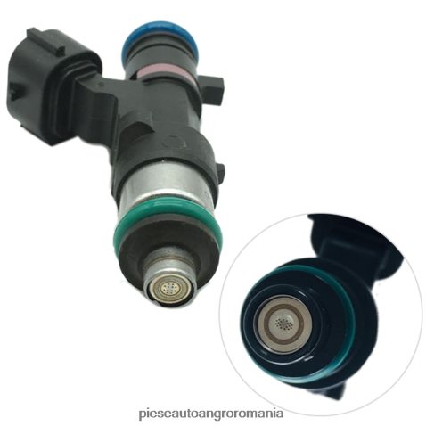 2N668F95 Piese Auto Iasi | 166006863r injector de combustibil RENAULT